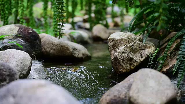 小河流视频下载