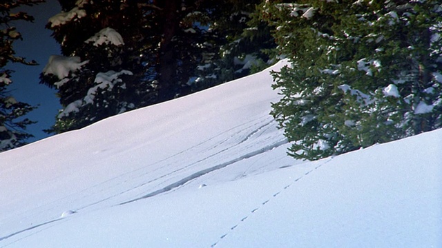 宽镜头跟踪拍摄了两个人滑雪皮划艇非常快速地滑下山坡/科罗拉多州阿斯彭视频素材