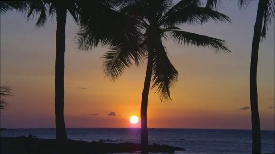 灼热的天空勾勒出热带海滩上棕榈树的轮廓。视频素材