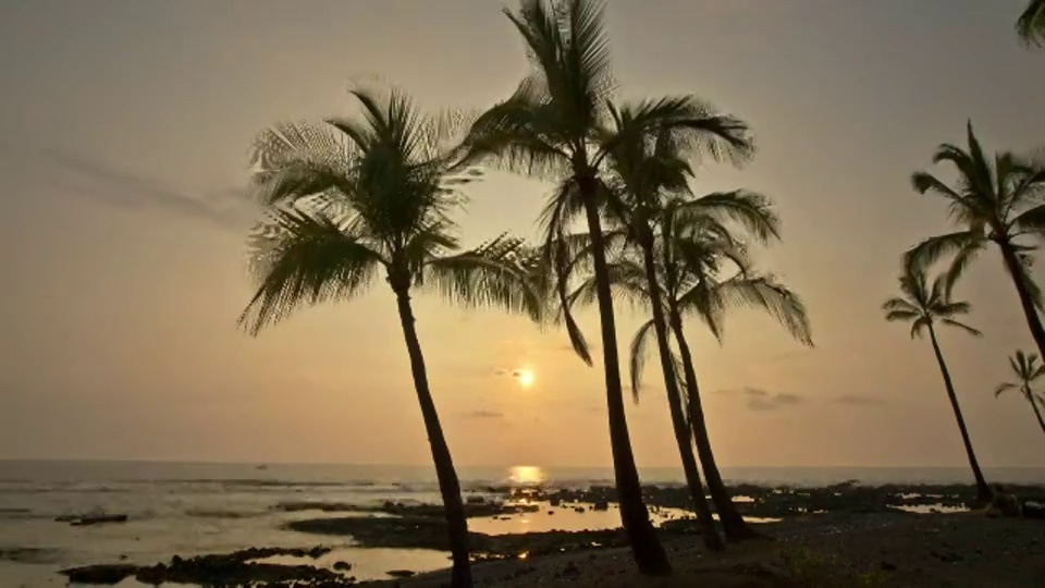 时间流逝广角拍摄日落和发展的云在后面的海滩棕榈树的剪影，夏威夷大岛的海洋视频素材