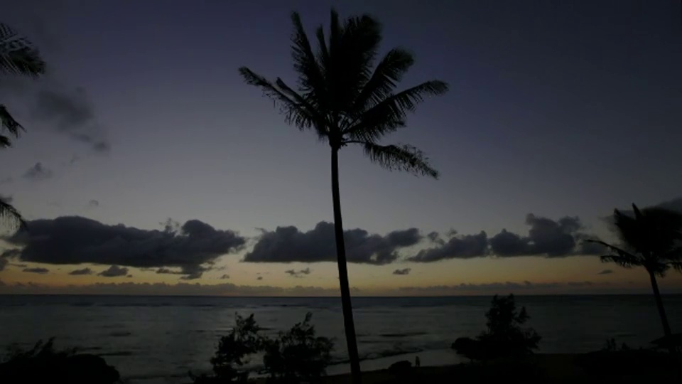 时间流逝宽镜头云在海滩上棕榈树的剪影，太阳升起在海洋，考艾岛视频素材