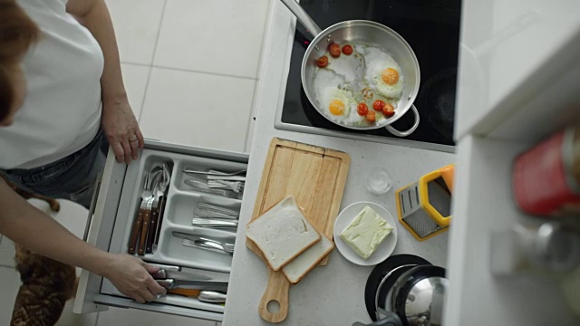 成熟的女人给狗喂食，在厨房做早餐视频素材