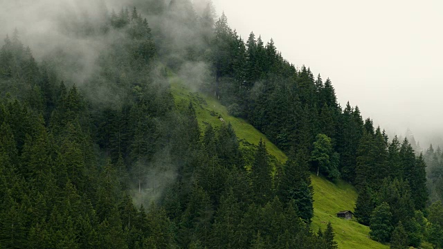 瑞士伯尔尼州，格林德沃，伯恩斯高地，山林迷雾视频素材