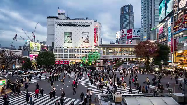 T/L WS HA涉谷过境日至夜过渡/东京，日本视频素材