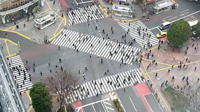 涉谷十字路口行人过马路鸟瞰图视频素材