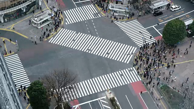 涉谷十字路口行人过马路鸟瞰图视频素材