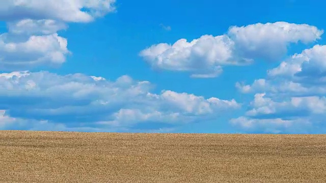 麦田;时间流逝视频素材