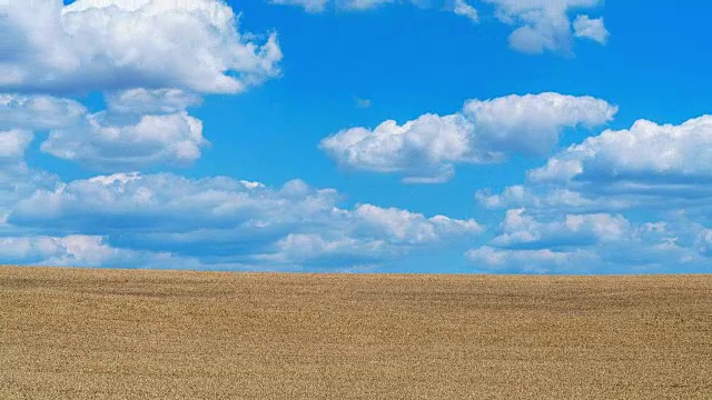 麦田;时间流逝视频素材