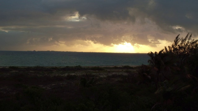 在墨西哥坎昆，从棕榈树后的空中升起，朝向海面上的夕阳视频素材