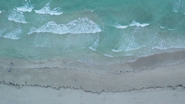 鸟瞰迈阿密海滩上的绿松石海浪视频素材