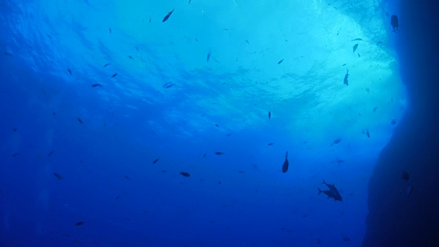 阳光照在海底的礁石上视频素材