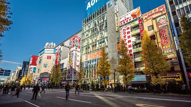 日本东京秋叶原电器城T/L视频下载