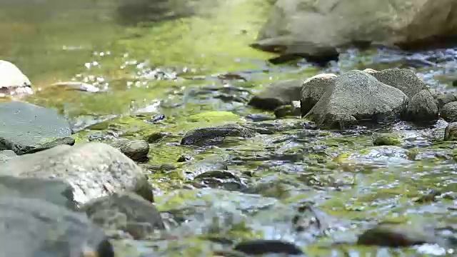 自然界中的水流视频下载