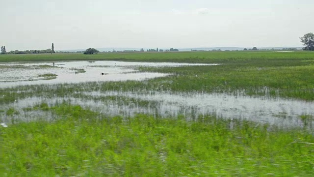 新usiedl湖特写视频素材