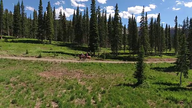 侧面跟踪马，落基山脉揭示秋天的颜色湖反射，Off road, rzr野生动物，树叶短航拍，4K, 15s, 56of102，股票视频销售-无人机发现-无人机航拍视图视频素材