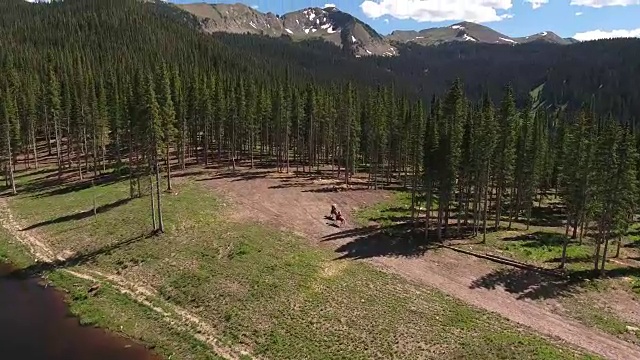 马转身跑到树林显示山脉，落基山脉显示秋天的颜色湖反射，Off道路，rzr野生动物，树叶短空中，4K无人机空中视图视频素材