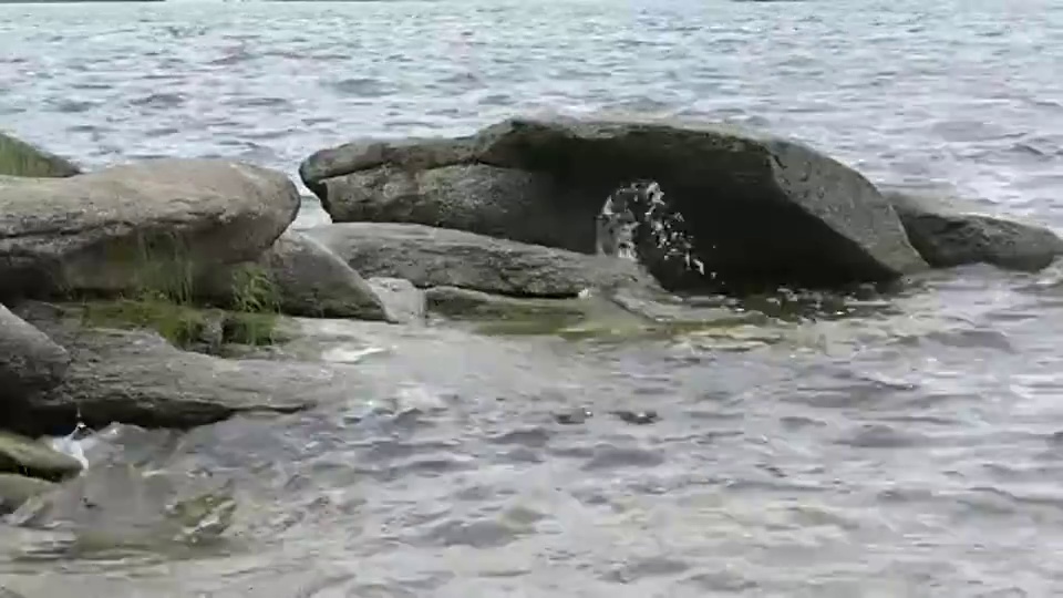 石头海岸视频下载