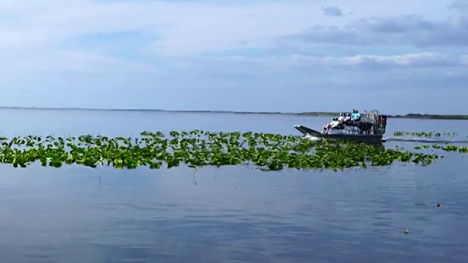 生态旅游，三湖，佛罗里达，美国，美国视频素材