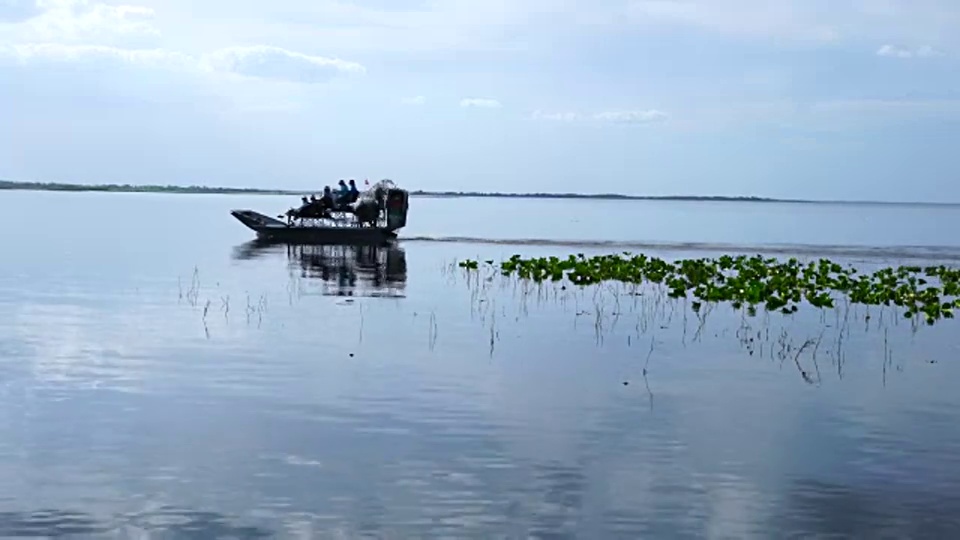 生态旅游，三湖，佛罗里达，美国，美国视频素材