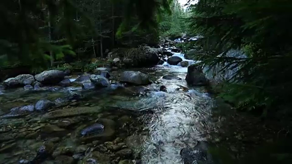 流在山视频素材