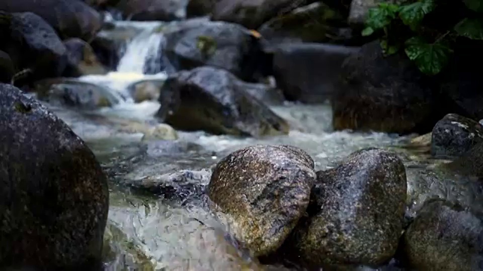 流在山视频下载