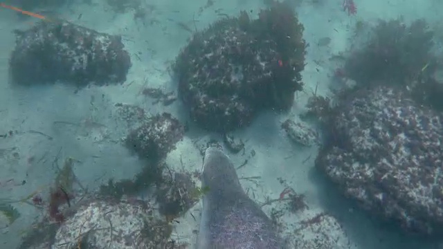 4K 自然/野生动物/天气视频素材