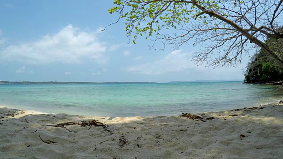 夏季热带岛屿的海滩视频素材