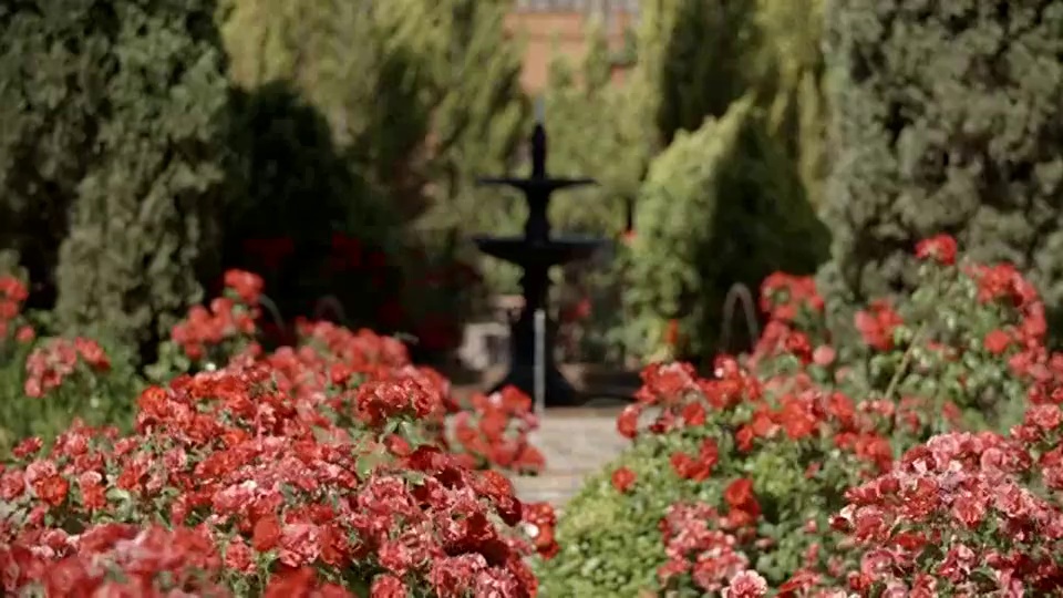 阳光花园和喷泉/托莱多，西班牙视频素材