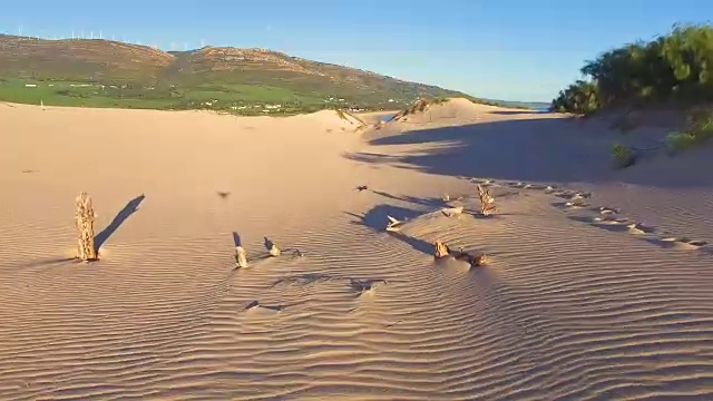 大沙丘的鸟瞰图与海洋和非洲海岸后面视频素材