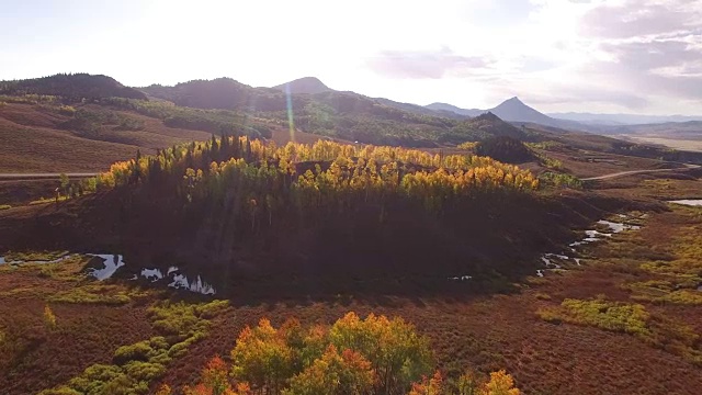 侧面飞行白杨树揭示，空中，4K, 29s, 20of34，白杨树，树叶，山，美丽的颜色，变化的叶子，科罗拉多，空中，股票视频销售-无人机发现4K自然/野生动物/天气无人机空中视频视频素材