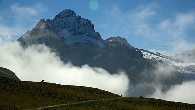 View from First to Wetterhorn, Bernese Oberland，伯尔尼州，瑞士视频素材