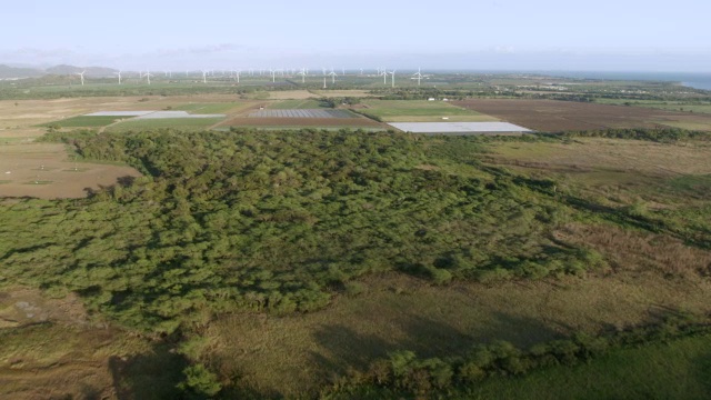 WS AERIAL POV视野与风车在背景/圣伊莎贝尔，波多黎各，美国视频素材