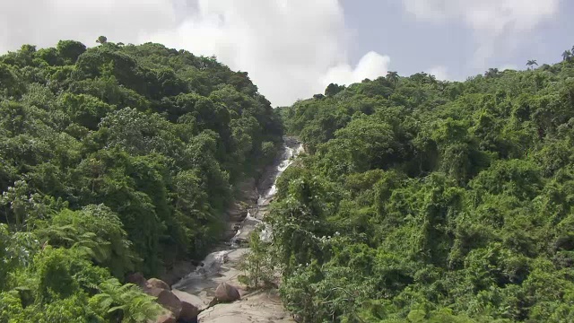 美国波多黎各埃尔云奎雨林河流的WS AERIAL POV视图视频素材