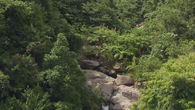 美国波多黎各埃尔云奎雨林河流的MS AERIAL POV视图视频素材