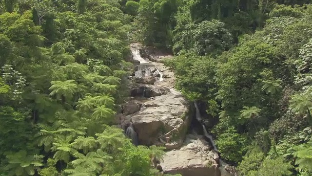 美国波多黎各埃尔云奎雨林河流的MS AERIAL POV视图视频素材