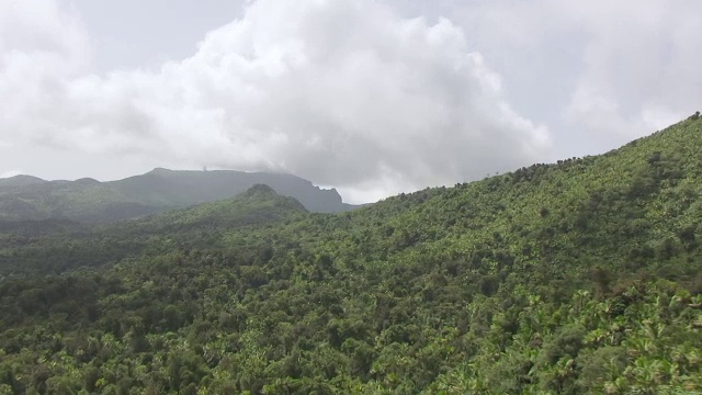 美国，波多黎各，云克雨林/主岛的WS空中视角视频素材