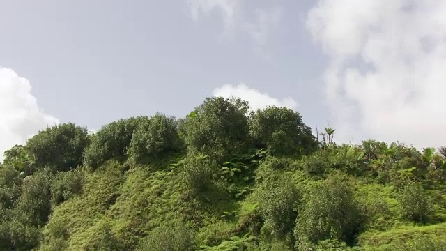 美国，波多黎各，云克雨林/主岛的WS空中视角视频素材