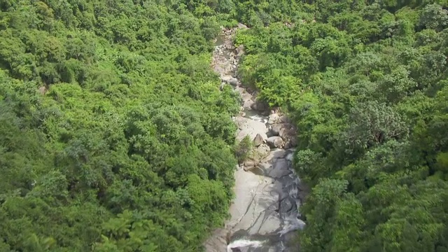 美国波多黎各埃尔云奎雨林河流的MS AERIAL POV视图视频素材