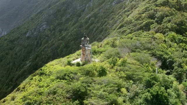 灯塔与森林区域/栗色洞，圣克罗伊，美属维尔京群岛，美国的WS AERIAL POV视图视频素材