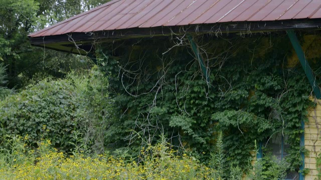 田纳西河谷铁路博物馆的废弃车站建筑/查塔努加，田纳西州，美国视频素材