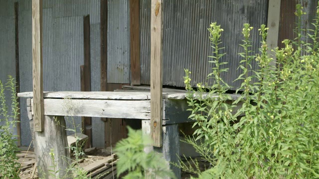 MS Detail of abandoned shack / Bell Buckle，田纳西州，美国视频素材