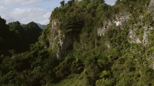 WS TD航空视角mogotes山/ Ciales，波多黎各，美国视频素材