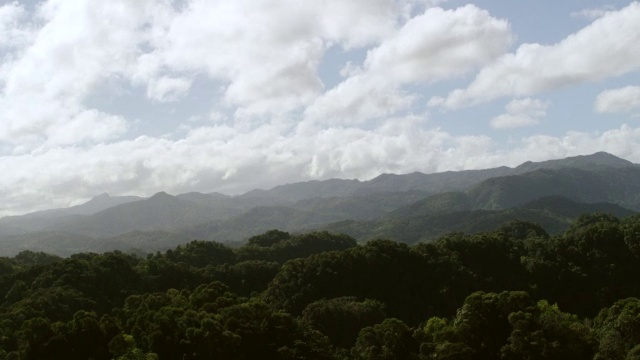 WS TU AERIAL POV美国，波多黎各，阿雷西博，南阿雷西博地区的绿色mogote山峰视频素材