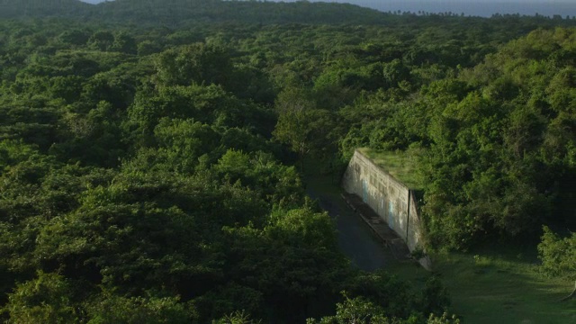 美国波多黎各别克斯岛，被茂密丛林包围的美国海军废弃地堡视频素材