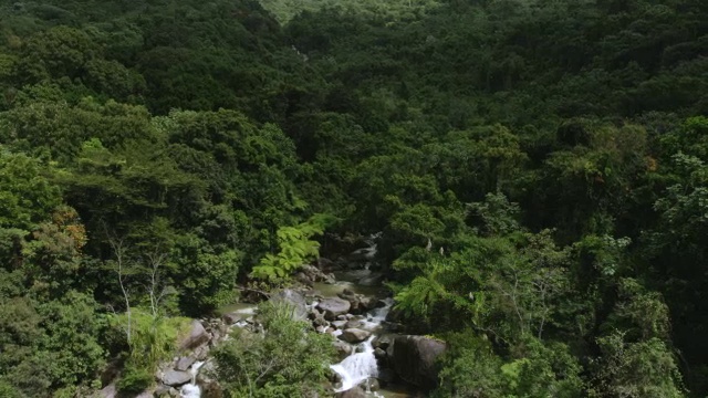 美国，波多黎各，普列托，纳瓜博的一部分，瀑布坠落在山上的森林地区视频素材