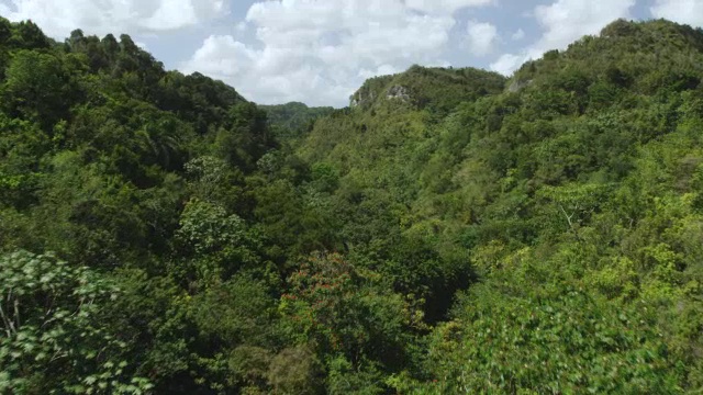 WS AERIAL POV喀斯特地区山谷之间的干草堆山和mogotes /喀斯特地区，Ciales，波多黎各，美国视频素材