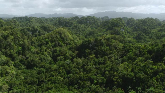 美国，波多黎各，Ciales，喀斯特地区，mogotes上方郁郁葱葱的地区视频素材