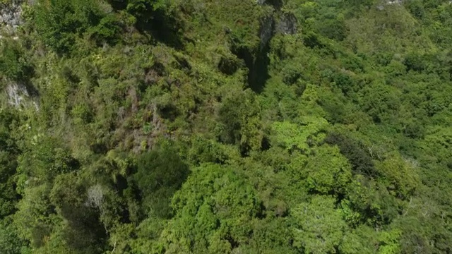 美国，波多黎各，Ciales, mogotes /喀斯特地区上空的WS AERIAL POV郁郁葱葱的区域视频素材