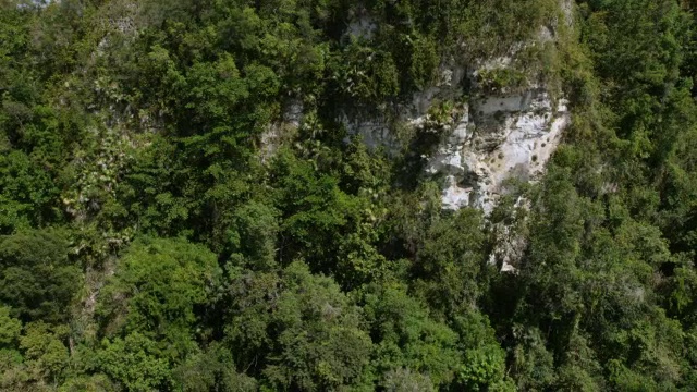 WS AERIAL POV mogote山谷与郁郁葱葱的mogote悬崖/喀斯特地区，Ciales，波多黎各，美国视频素材