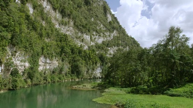 美国，波多黎各，阿雷西博，空中鸟瞰阿雷西博河，鸟在背景中飞行视频素材